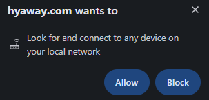 Browser local network access prompt