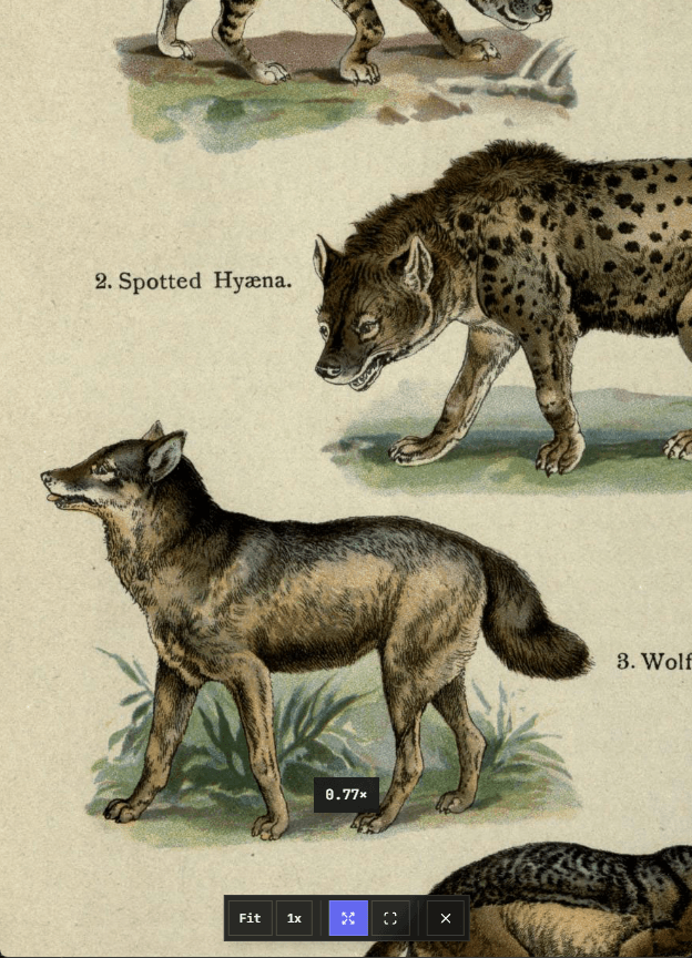 Expanded file viewer