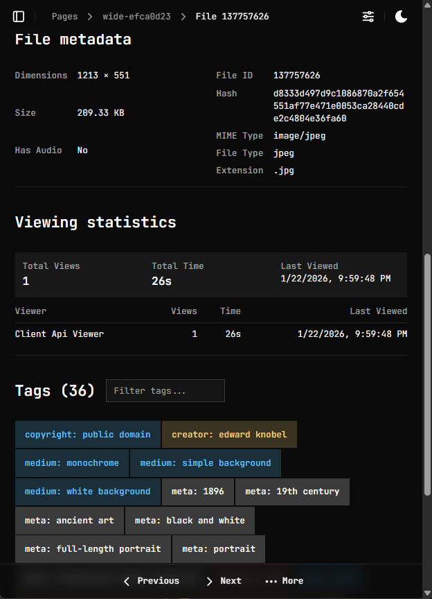 File metadata and tags